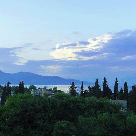 Sunshine Home 2 With Sea View Corfu  Extérieur photo